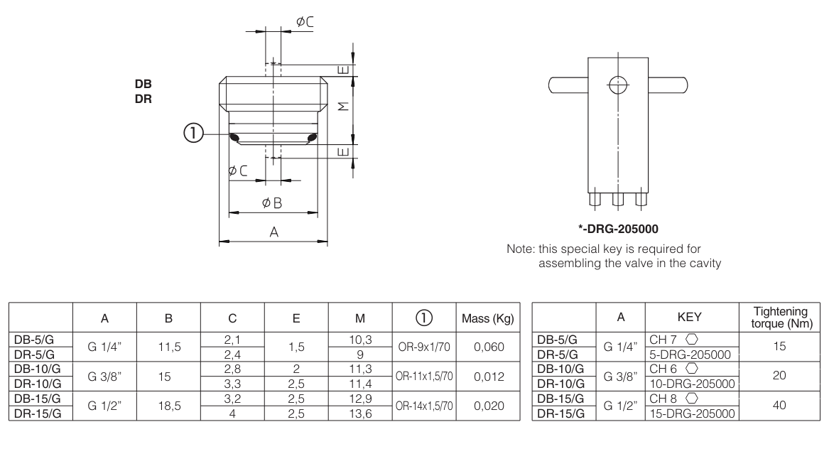 DB - Cartridge Check Valve