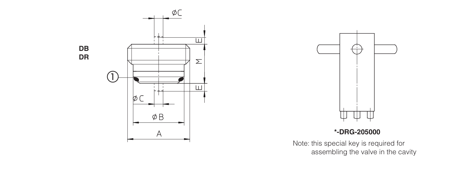 DR - Cartridge Check Valve