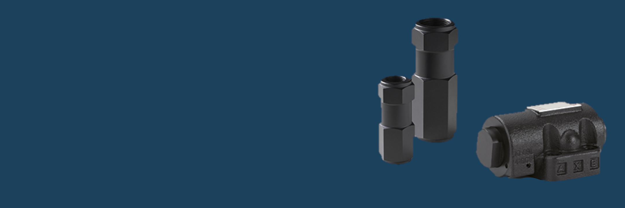 On-Off Check Valves Atos Desktop Banner